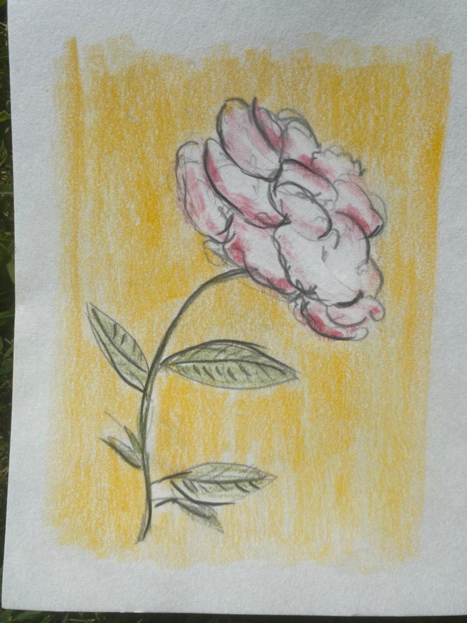 Aparthotel Il Casale Delle Rose Paganico  Exteriér fotografie